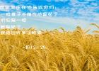 һ���������ڵ���