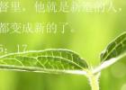 ��Լ�е�ʮ���¡�
