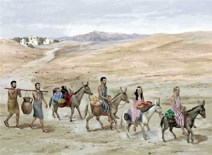 C014.jpg