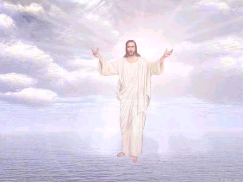 01300000167299125029771719623.jpg