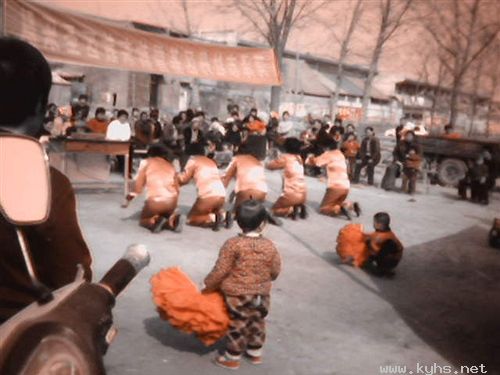 查看更多精彩图片
