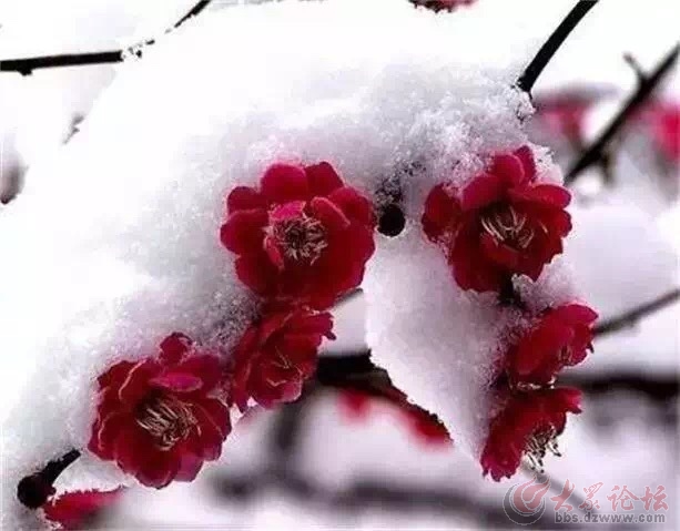 ���ǹ����ĵ��棬������ٺͻ��ԡ�