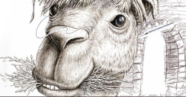 cover600.jpg