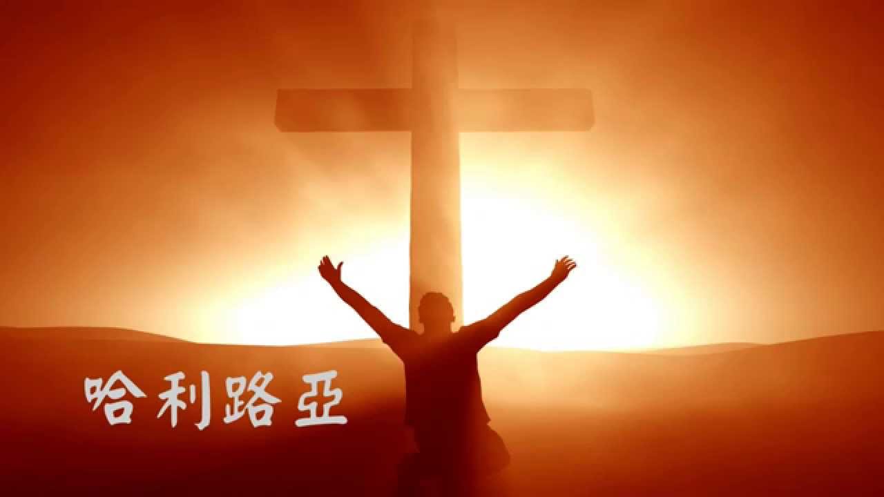 ���صĹ��