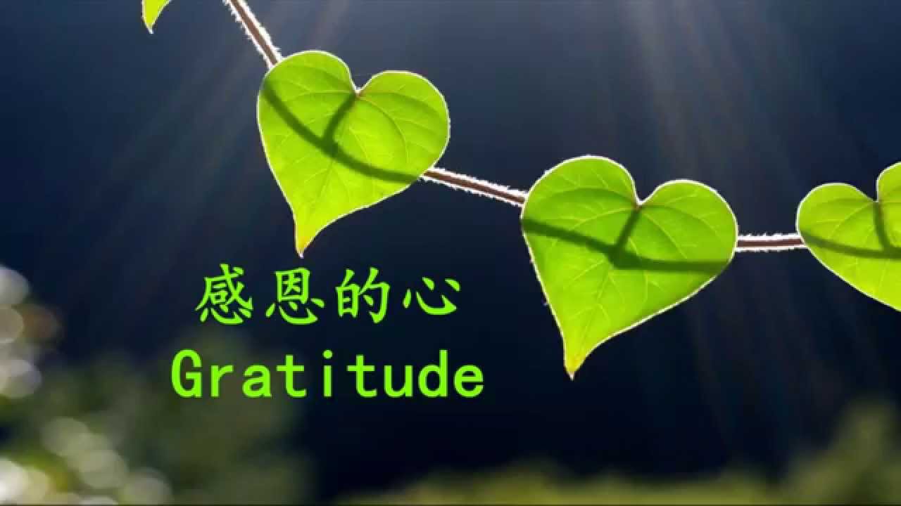 ��������۹⣬ӵ��һ�Ÿж�����