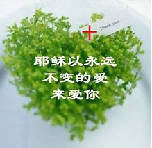 ��֤������л���ĵ�������