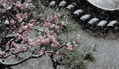 151425d399rc2lxrr0zuuc.gif