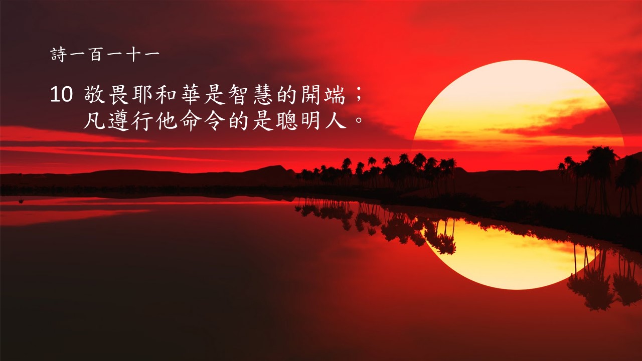 �ǻ۵���.