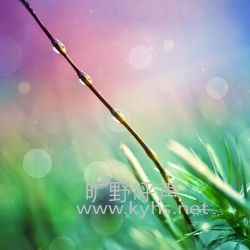 ��ʫ��ÿ��һ���������ף�