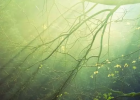 �ϵ��ƹ�һ��