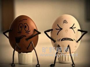 һ����Щ����ս�������