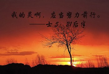ʿʦ��ϵ�У�ʮ������ʤ�Ŀ���
