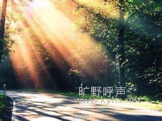 ʿʦ��ϵ�У�ʮ�ţ�������������̷�