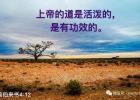 Ѱ���ϵۣ�Ѱ���Լ�