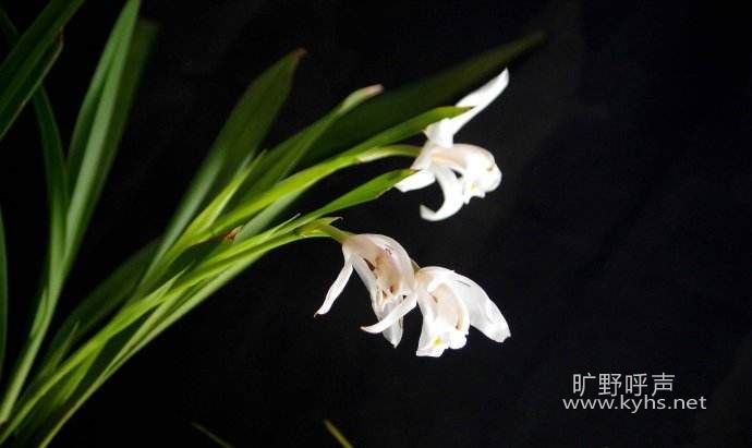 timg_image&quality=80&size=b9999_10000&sec=14946