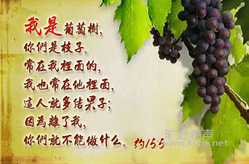 �װ��ģ��뾫���������