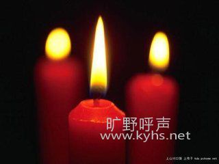 ��ʫ��Ը����һ��ƽ��