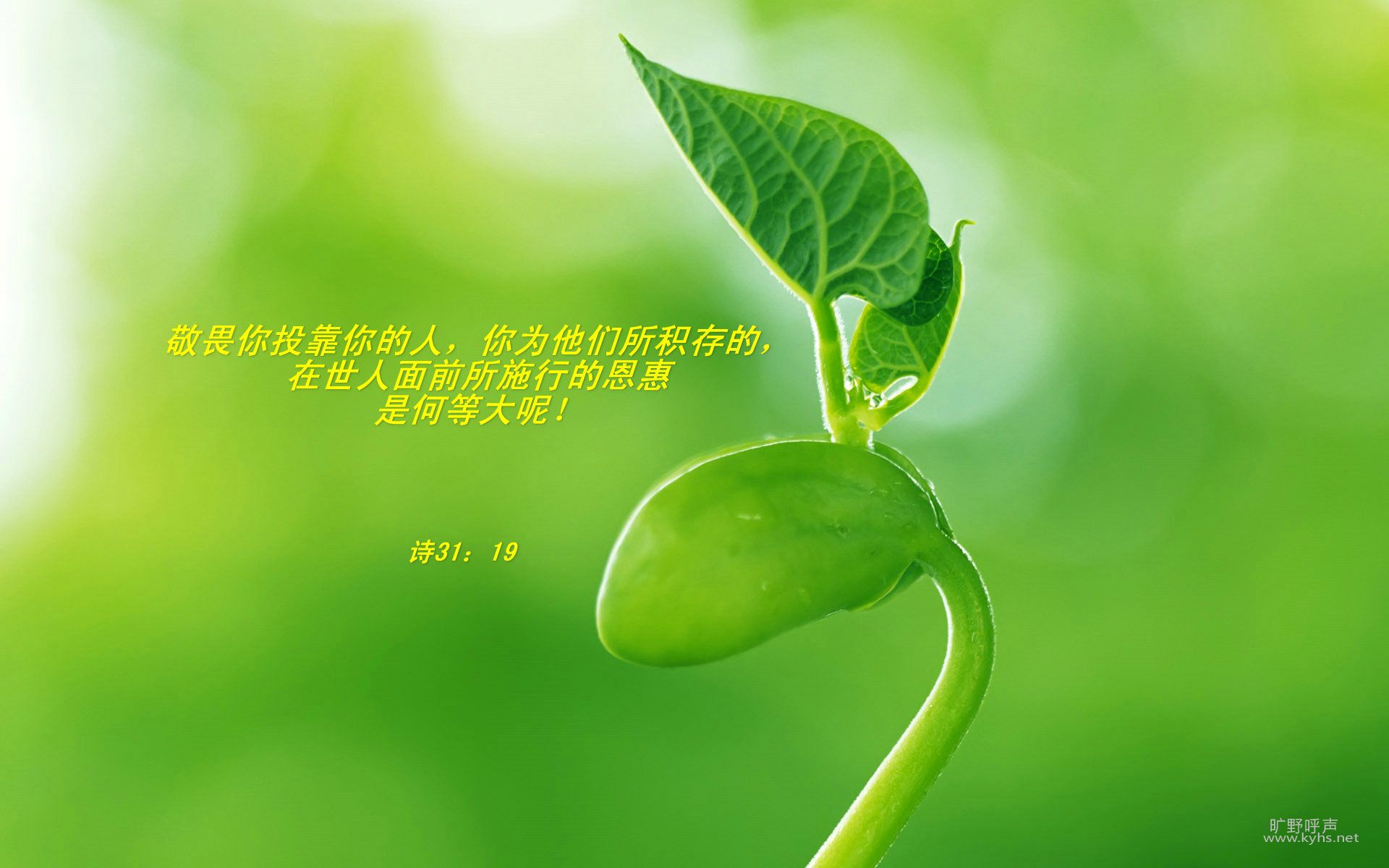 ���ʤ�����ǣ�