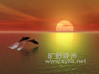 �Ҳ�����Թ