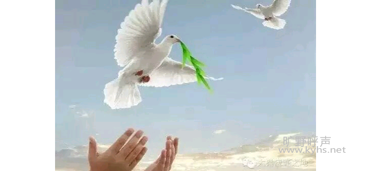 ���漺��ָ����ˡ�