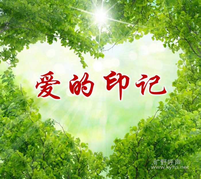 ����ӡ��