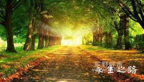�ǲ������ĸ���֮·