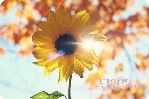 ϣ��������ף�