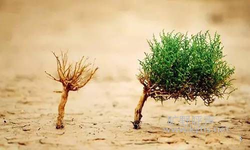 �ǲ��������޵õĲ��