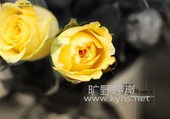 ��һ������˽�
