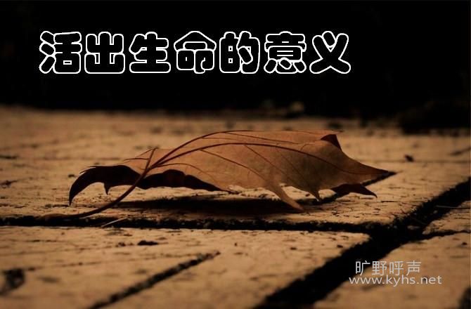 ����Ż���ʲô��˼�������ˣ��̽��ˣ���Ҳ���ˣ�