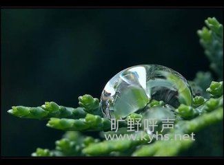 �������磨1-2��