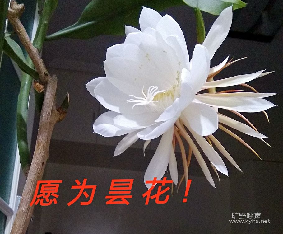 ԸΪ꼻���