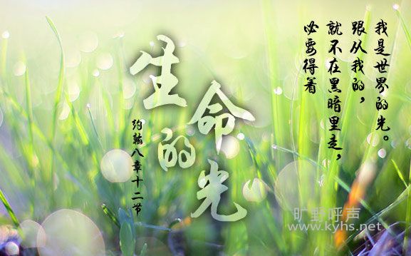 Ү���������Ĺ�
