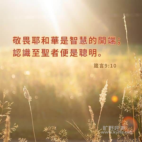 �ǻ��˵�����