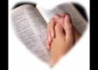 ������love��