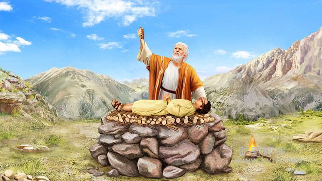 ΰ����ȷ��ǲ�����