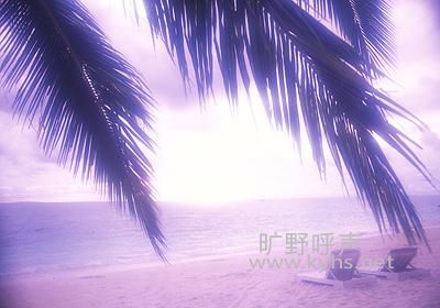 ƽ����;�����ĵv��
