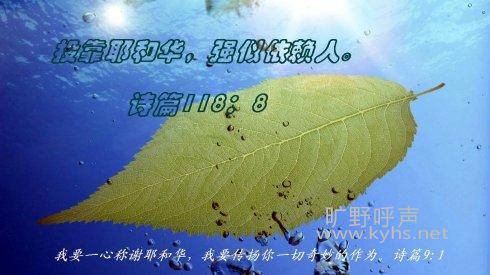 Ͷ��Ү�ͻ�ǿ��������