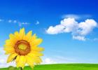 �ô��һ���Ҹ�����