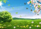 �� ˭Ҳ�޷����ƴ�������٣������ף�