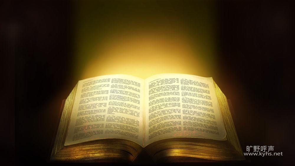 timg (1).jpg