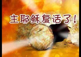 ����ڽ��£���֤Ү�ո������