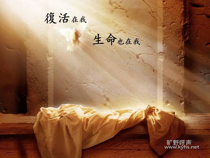 Ү�ո������ʵ