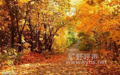 ��ּ���еĵ�·
