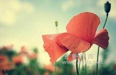 ������Ʋ��䲻�� �������ٴγ�������