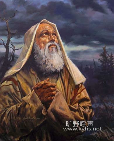 �ǲ���������
