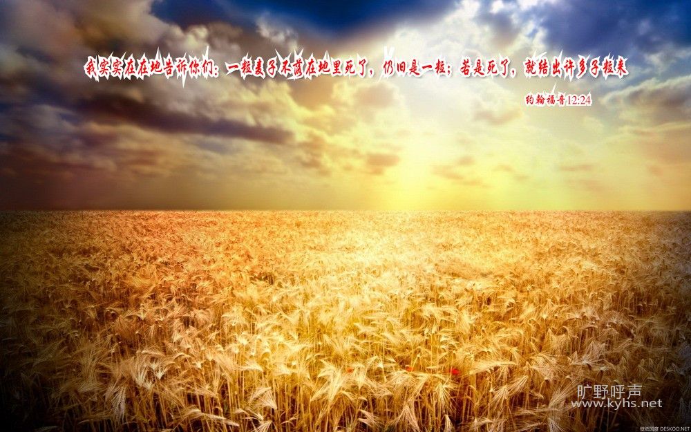 Ϊ���Ÿ�ѳ�����˵û��