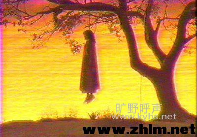 ���������ǳ�Ϊ�������̴����