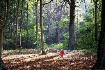 ��ϧ���ϵ۸������������