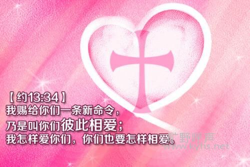 �벻Ҫ����������׼ȥ��������